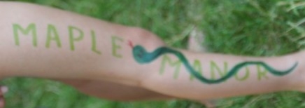 MM Leg